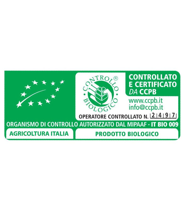 Cicoria Variegata di Castelfranco - Italian Sprout