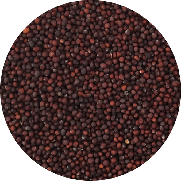 Microgreen seeds - Rapeseed Lillo