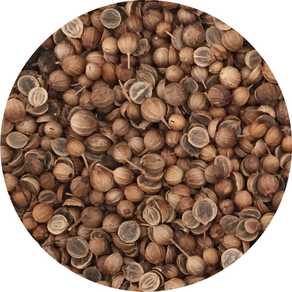 Microgreen seeds - Split coriander Giano