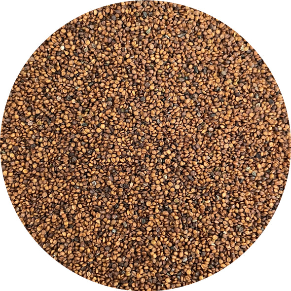 Microgreen seeds - Watercress Persia