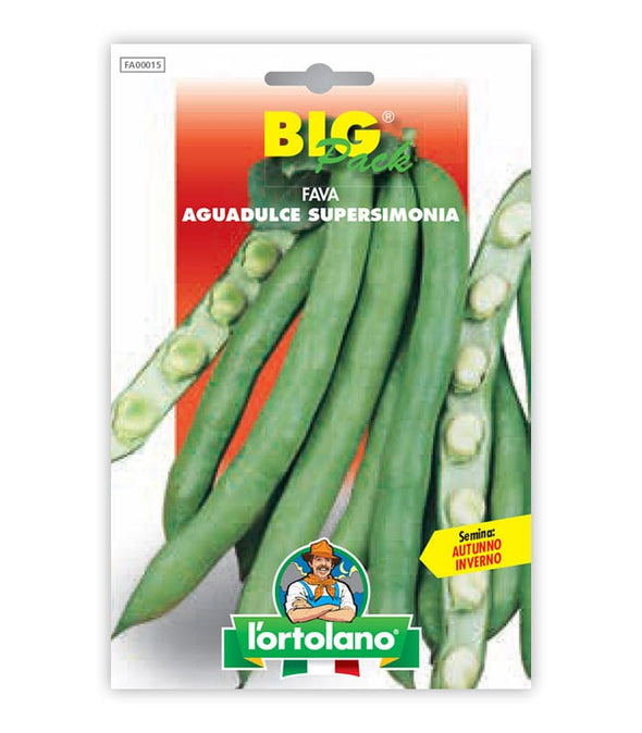 Broad Bean Aguadulce Supersimonia