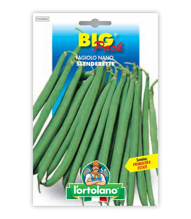 Garden seeds - Fagiolo Nano Slenderette White Seed