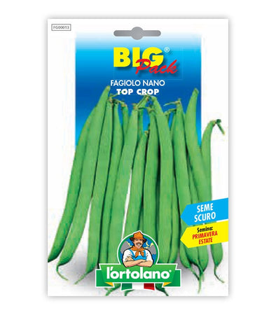 Garden seeds - Fagolo dwarf Top crop Sed Marrone Seed