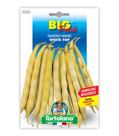 Garden seeds - White WHITE WHITE WHITE WHITE FAGAOLO (TYPE CANNELLINO)