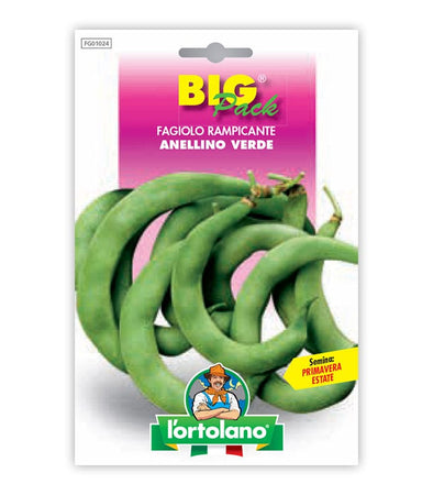 Semi da orto - Fagiolo Rampicante Anellino Verde seme caffelatte