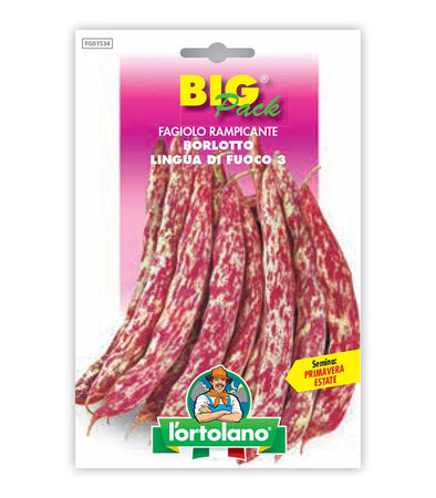 Semi da orto - Fagiolo Rampicante Borlotto Lingua di Fuoco 3