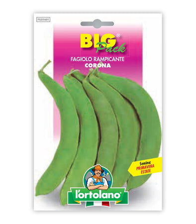 Semi da orto - Fagiolo Rampicante Corona o Spagna Bianco