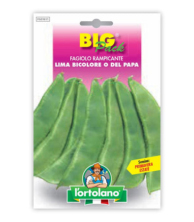 Garden seeds - Brey -colored or pope's climbing bean
