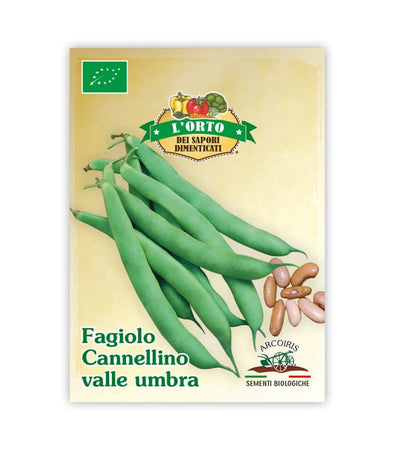 Fagiolo Cannellino Valle Umbra - Italian Sprout