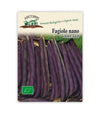 Fagiolo Nano violetto - Italian Sprout