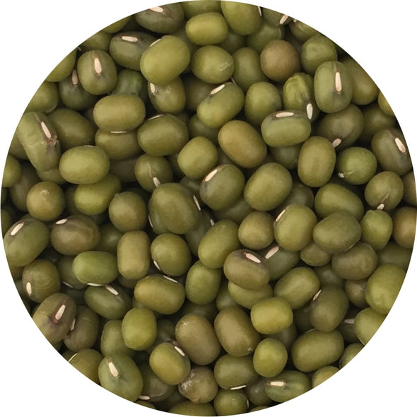 Sprouting seeds - Mungo Bean Isidoro