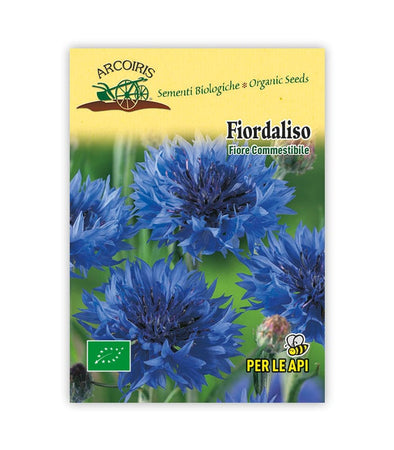 Fiordaliso - Italian Sprout