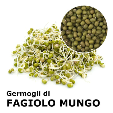 Semi da germoglio - Fagiolo Mungo Isidoro