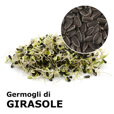 semi di lino, girasole, zucca, chia, bacche di goji, bio macinati LINWOODS  - Il Germoglio Bio