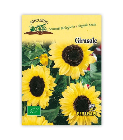 Girasole - Italian Sprout