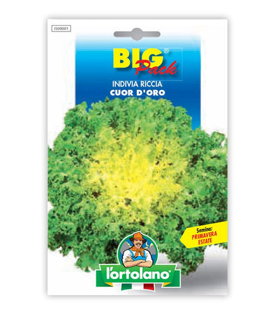 Orto seeds - Riccia golden heart