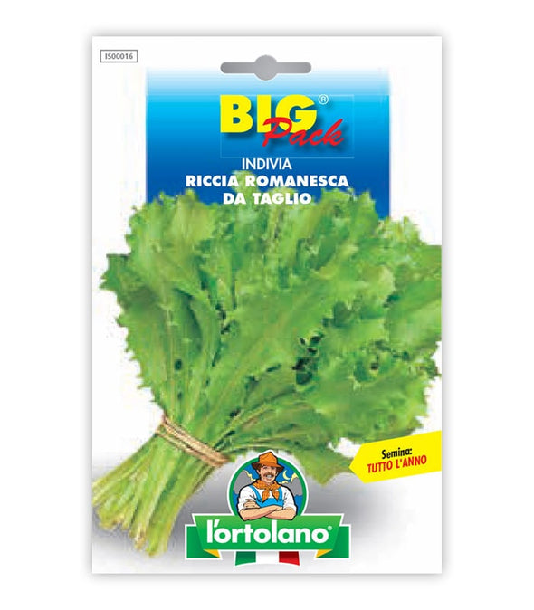 Semi da orto - Indivia Riccia Romanesca da Taglio