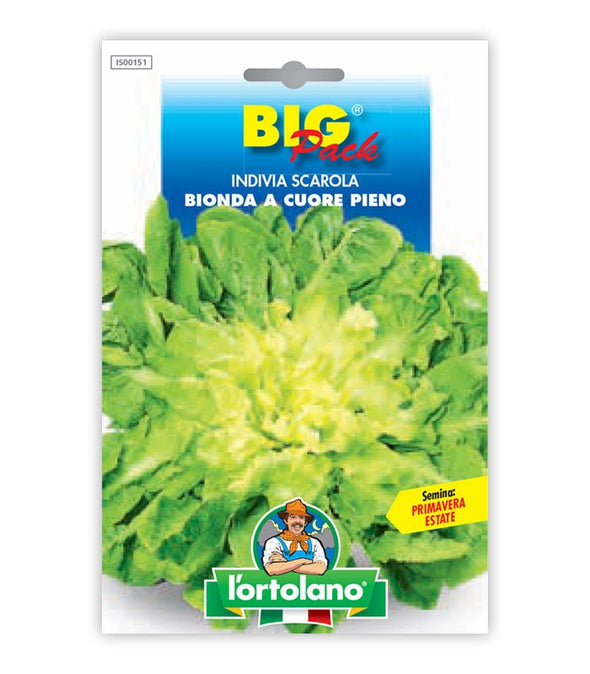 Garden seeds - full heart blonde blonde unbelieving