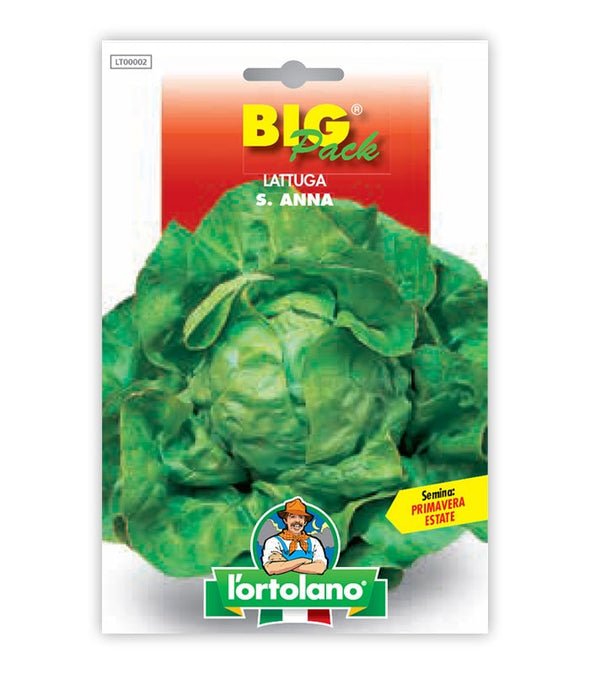 Orto seeds - S. Anna lettuce