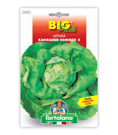Garden seeds - Kagraner Sommer 2 lettuce