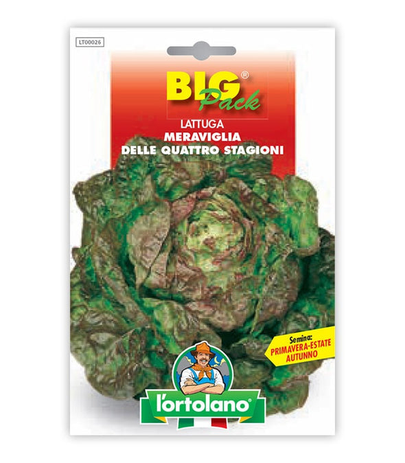 Orto seeds - Made of the four seasons wonder