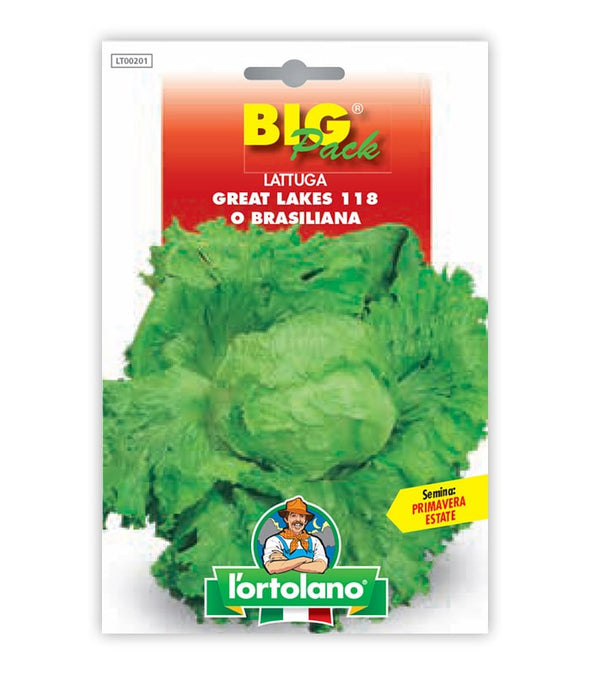 Lettuce Great Lakes 118 o Brasiliana