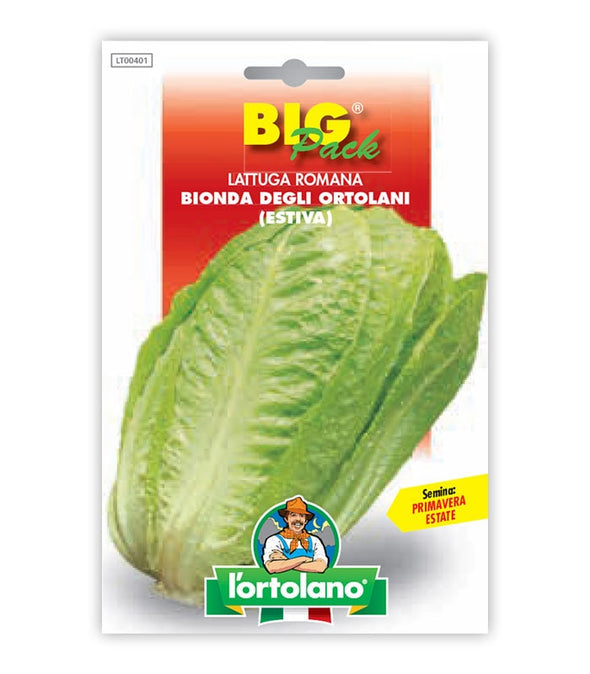 Lettuce Romana Bionda degli Ortolani (estiva)