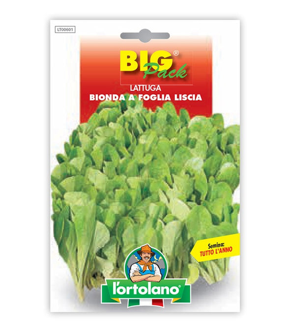 Lettuce Bionda a Foglia Liscia