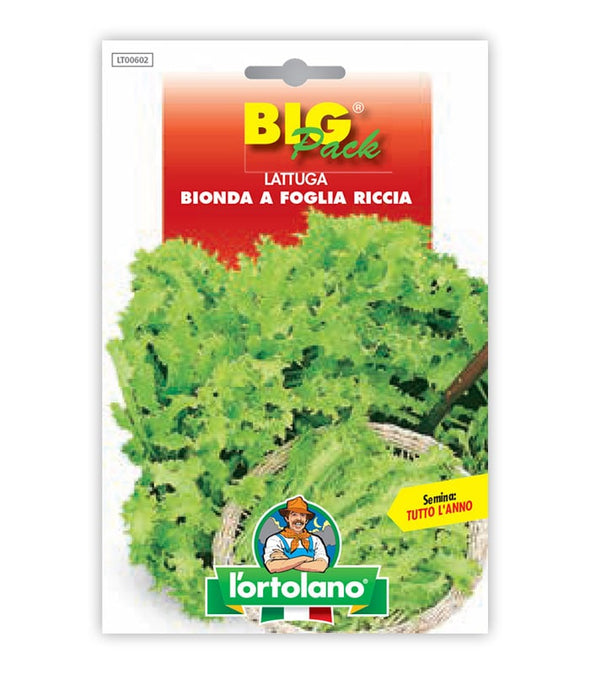 Semi da orto - Lattuga Bionda a Foglia Riccia