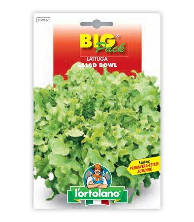 Orto seeds - Salad Bowl lettuce