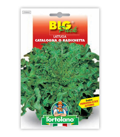 Semi da orto - Lattuga Catalogna o Radichetta