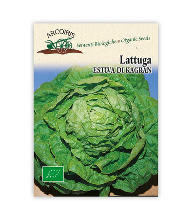 Bio vegetable garden seeds - Kagran summer lettuce