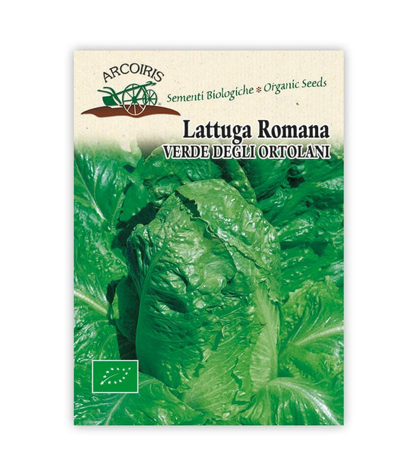 Lattuga romana Verde degli ortolani - Italian Sprout