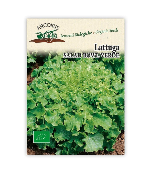 Lattuga Salad bowl verde - Italian Sprout