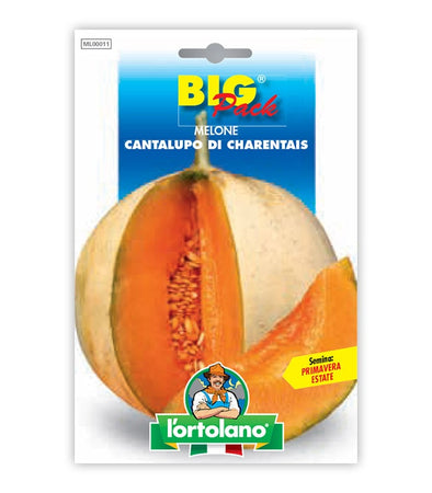 Semi da orto - Melone Cantalupo di Charentais