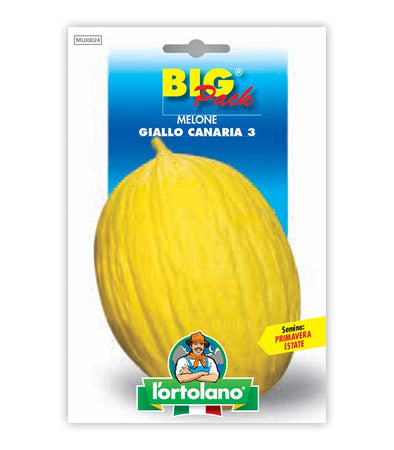 Semi da orto - Melone Giallo Canaria 3