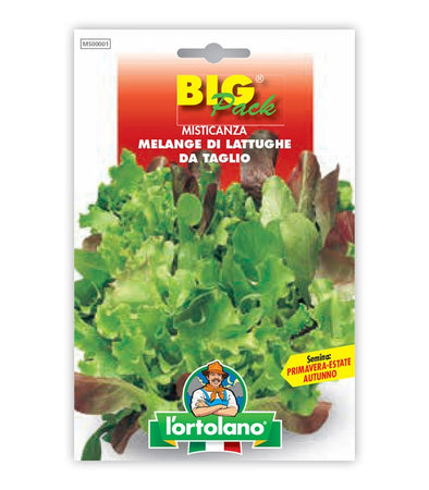 Garden seeds - cutting of cutting lettuces
