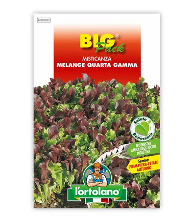 Lettuce mix Melange quarta gamma