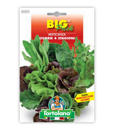 Orto seeds - Mistory of 4 seasons chicory