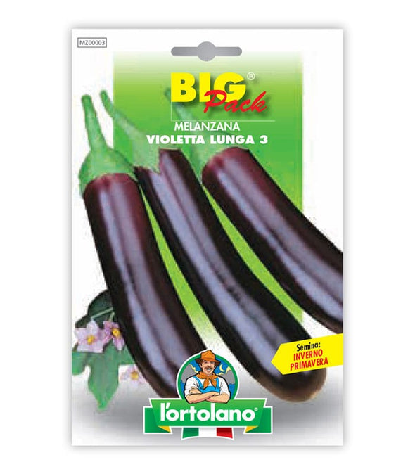 Eggplant Violetta Lunga 3