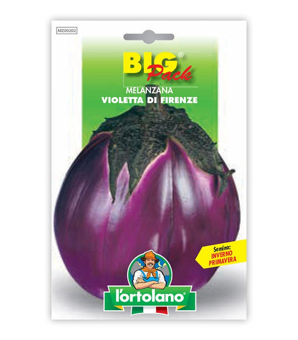 Eggplant Violetta di Firenze