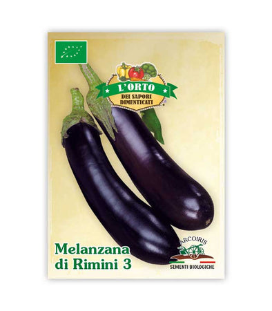 Semi da orto bio - Melanzana di Rimini 3