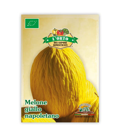 Melone Giallo napoletano - Italian Sprout