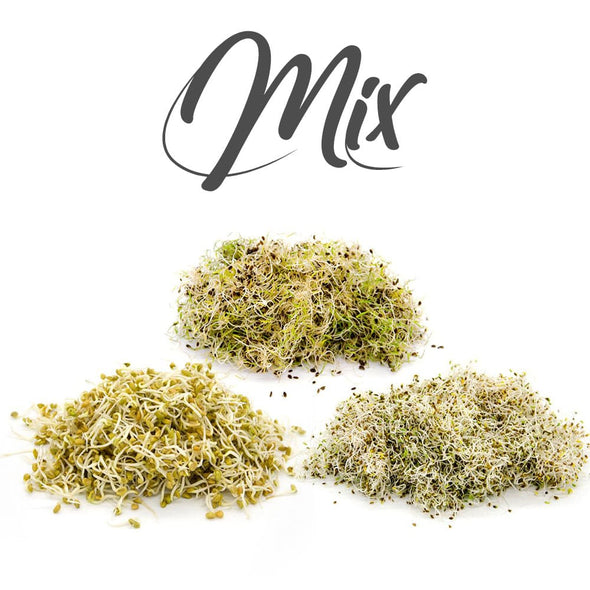 SEMPS FROM SPROA - MIX HORUS Health