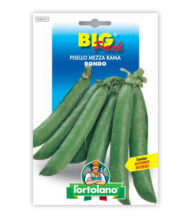 Pea Mezza Rama Rondo a grano rugoso