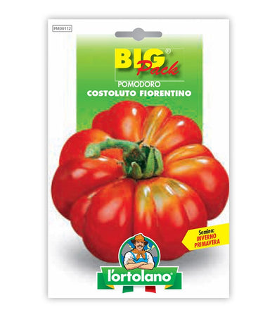 Tomato Costoluto Fiorentino