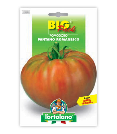 Tomato Pantano Romanesco