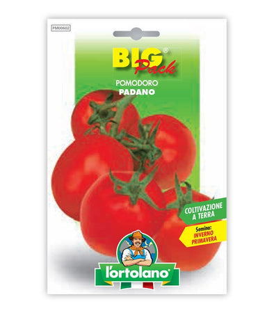 Tomato Padano 