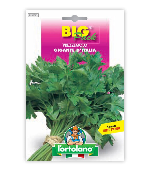 Parsley Gigante d'Italia