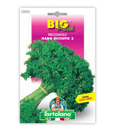 Garden seeds - Pozzemolo dwarf curl 2